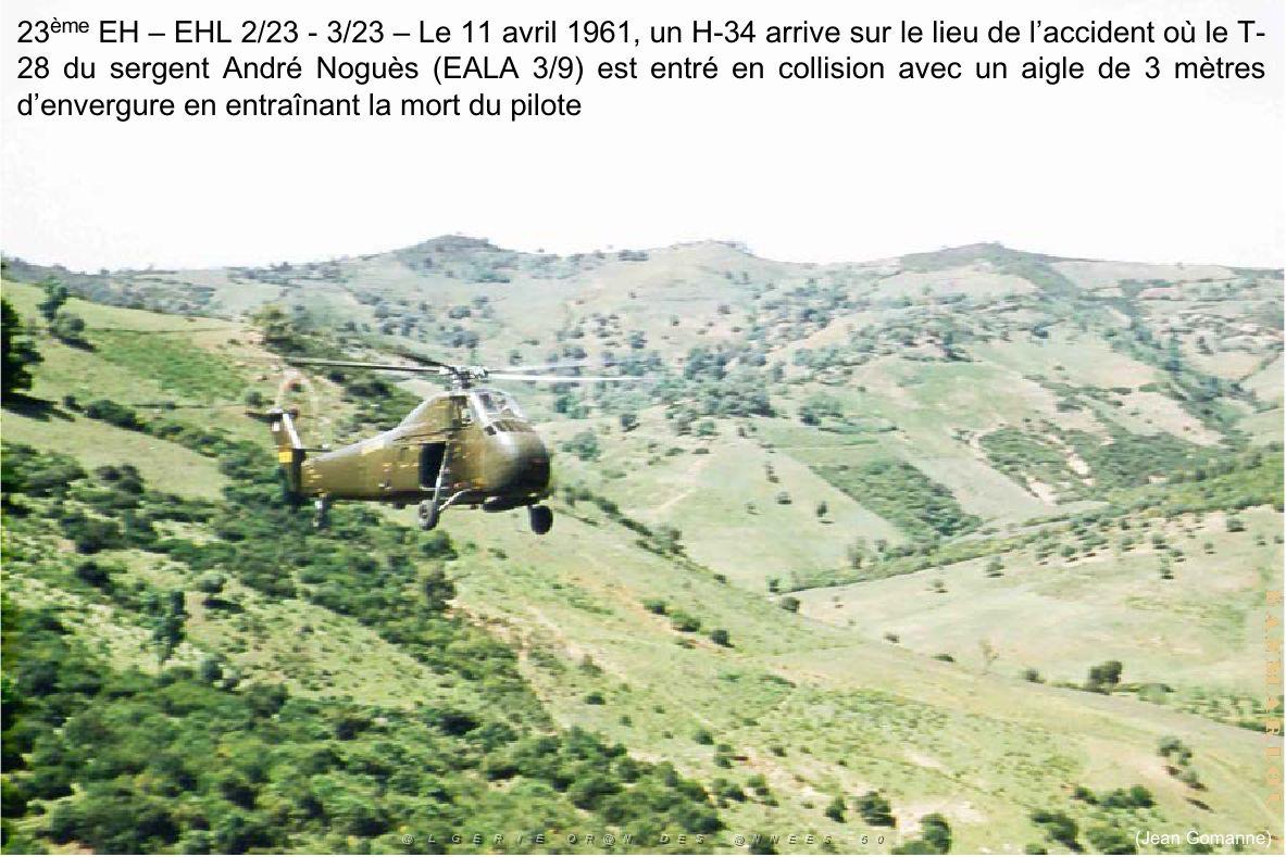 205- ARMEE DE L'AIR EN ALGERIE 1945-1962-53 (148).jpg